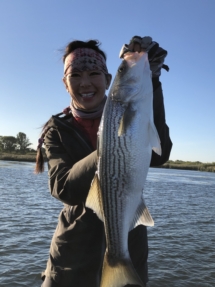 Stripers dl IMG_5430