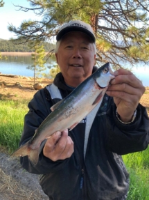 stampede kokanee